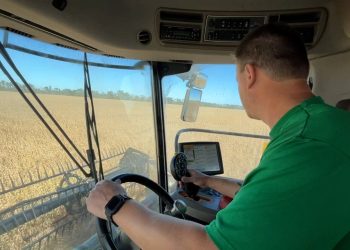 China trade freeze squeezes US soybean farmers as costs climb, profits vanish